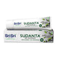 Sudanta Gel Toothpaste - With Charcoal & Salt. SLS Free. Non - Fluoride - 100% Vegetarian, 100g